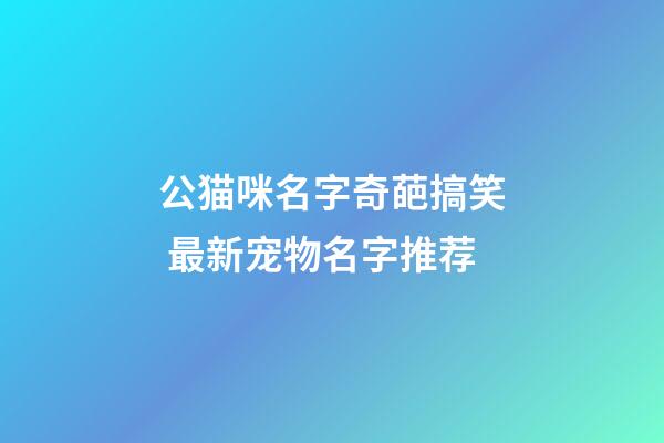 公猫咪名字奇葩搞笑 最新宠物名字推荐